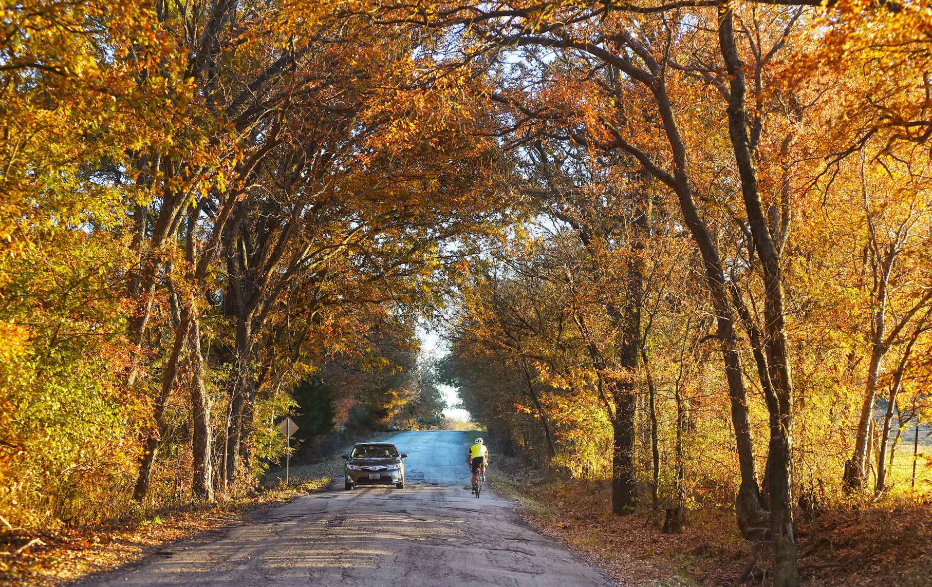 Golden time of year